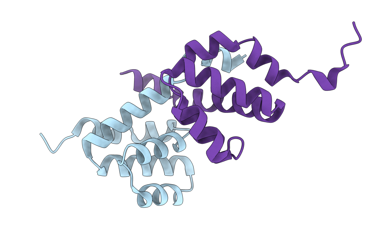 2NZ7 image