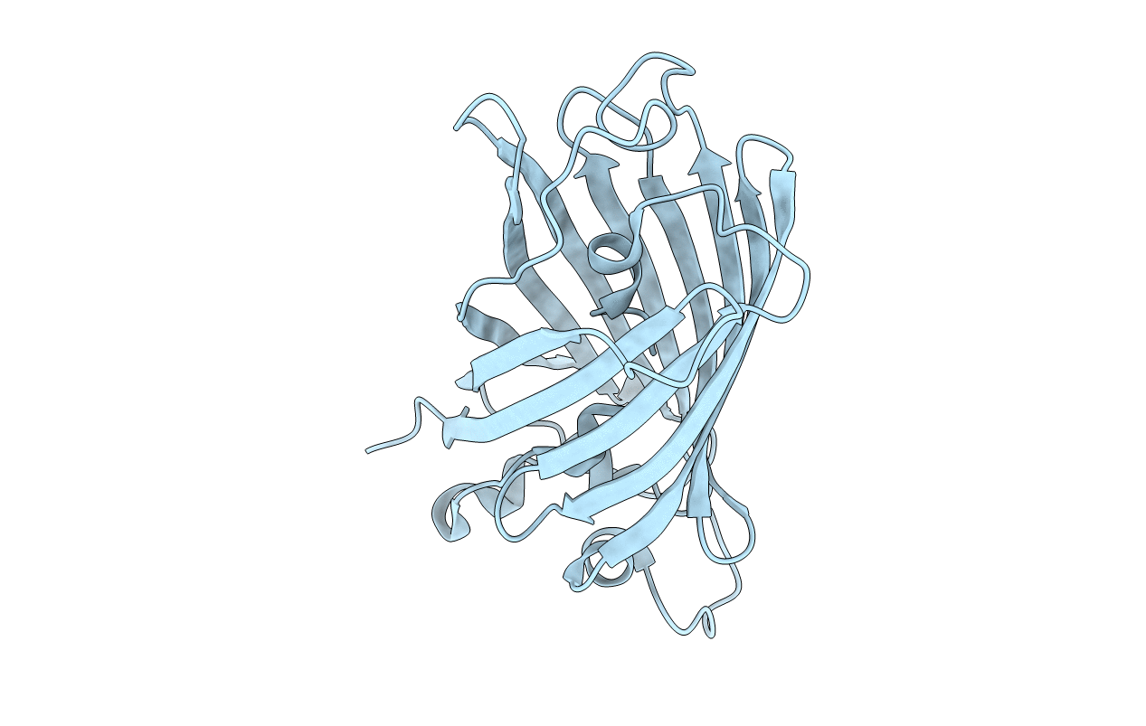 2O2B image