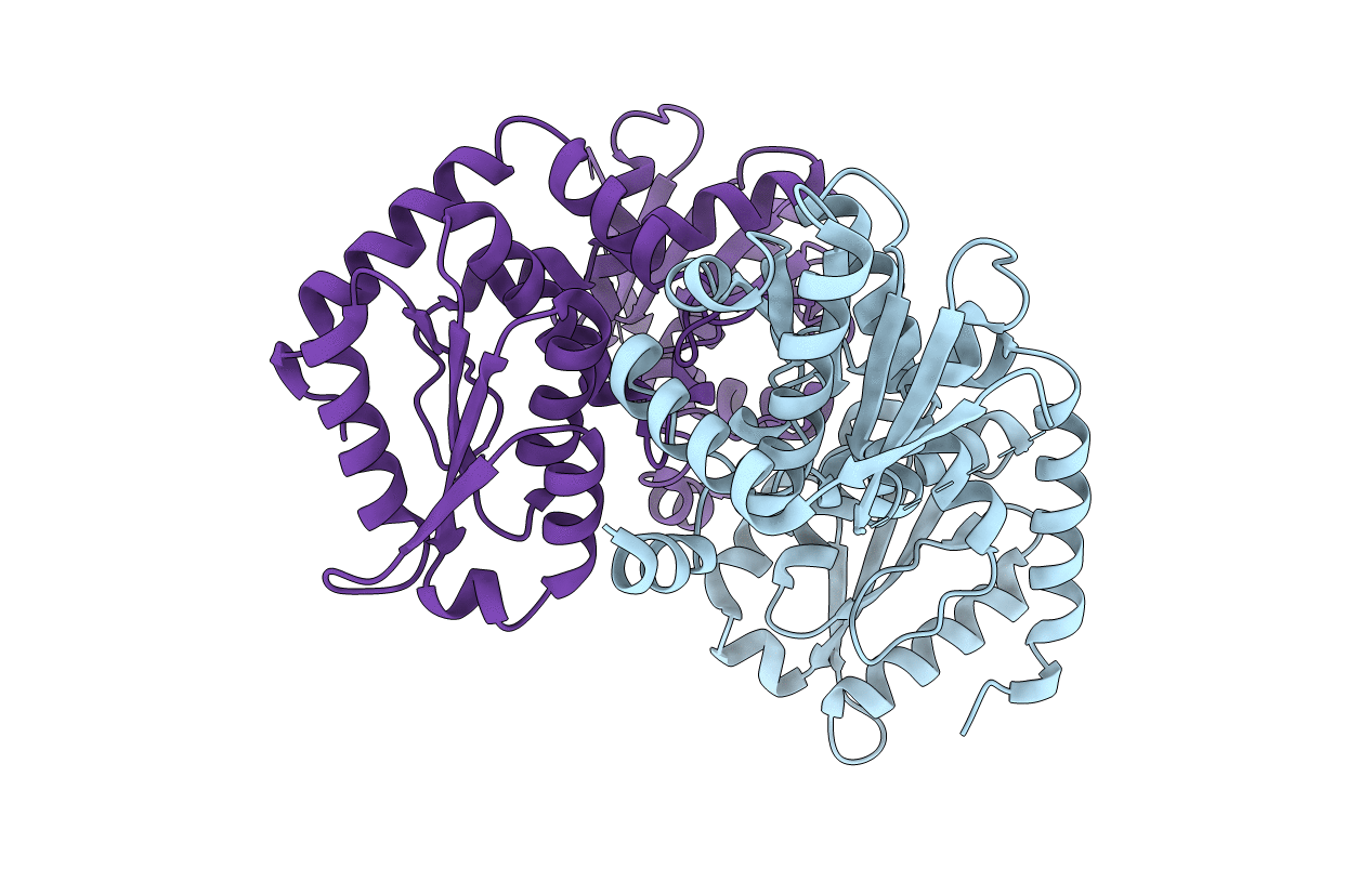 2O2E image