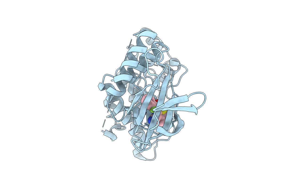 2O2U image