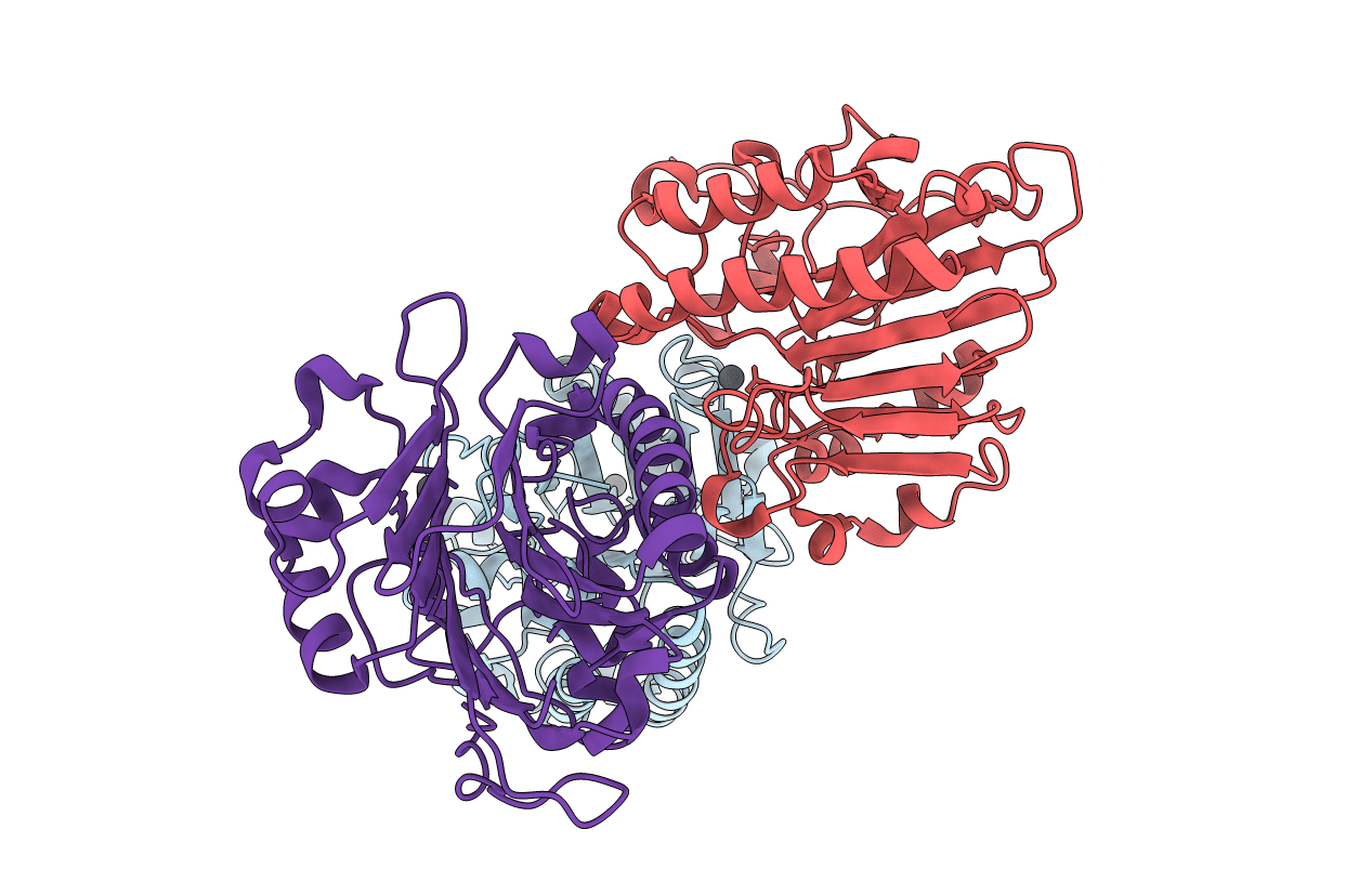 2O3C image