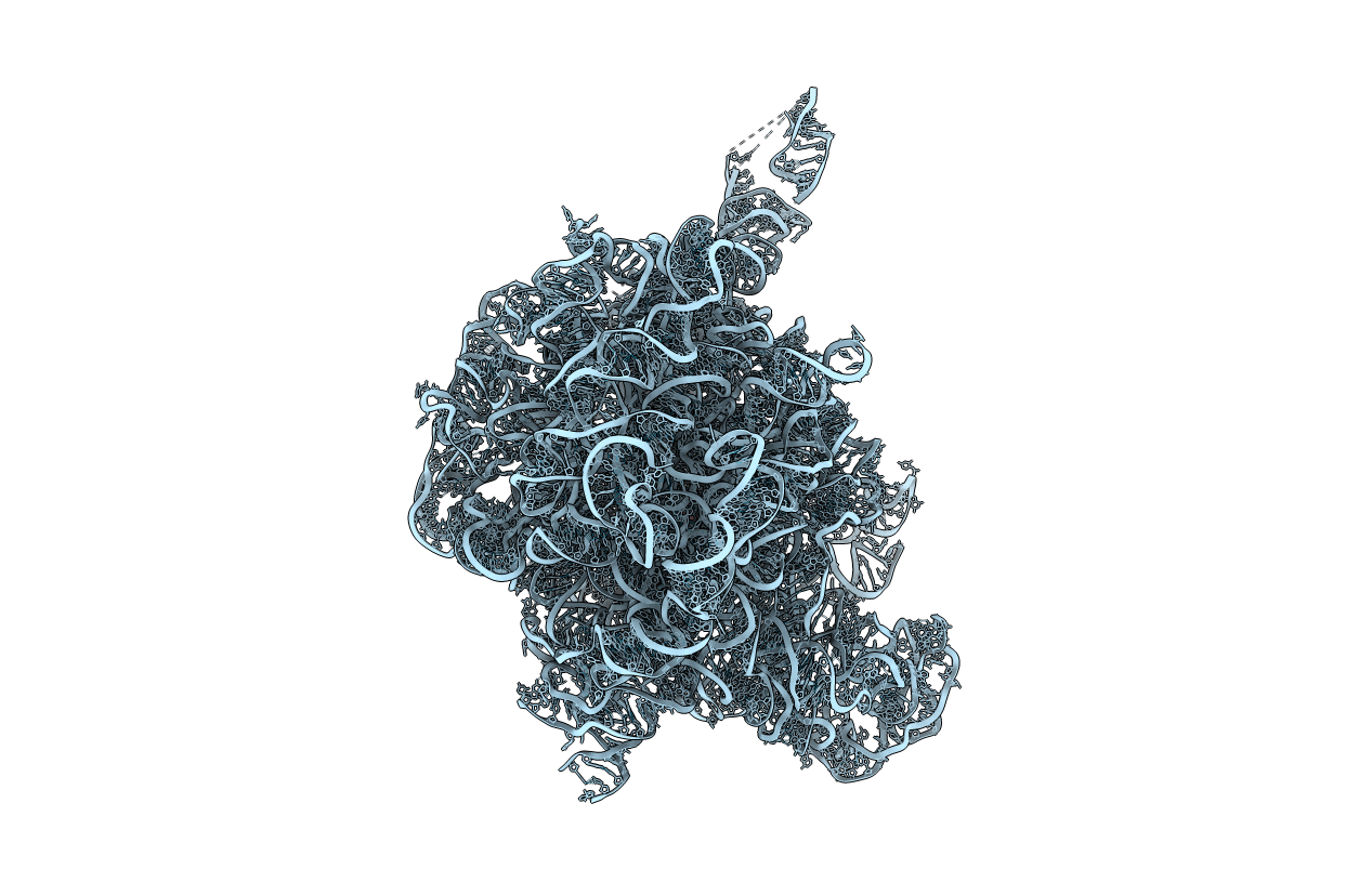 2O43 image