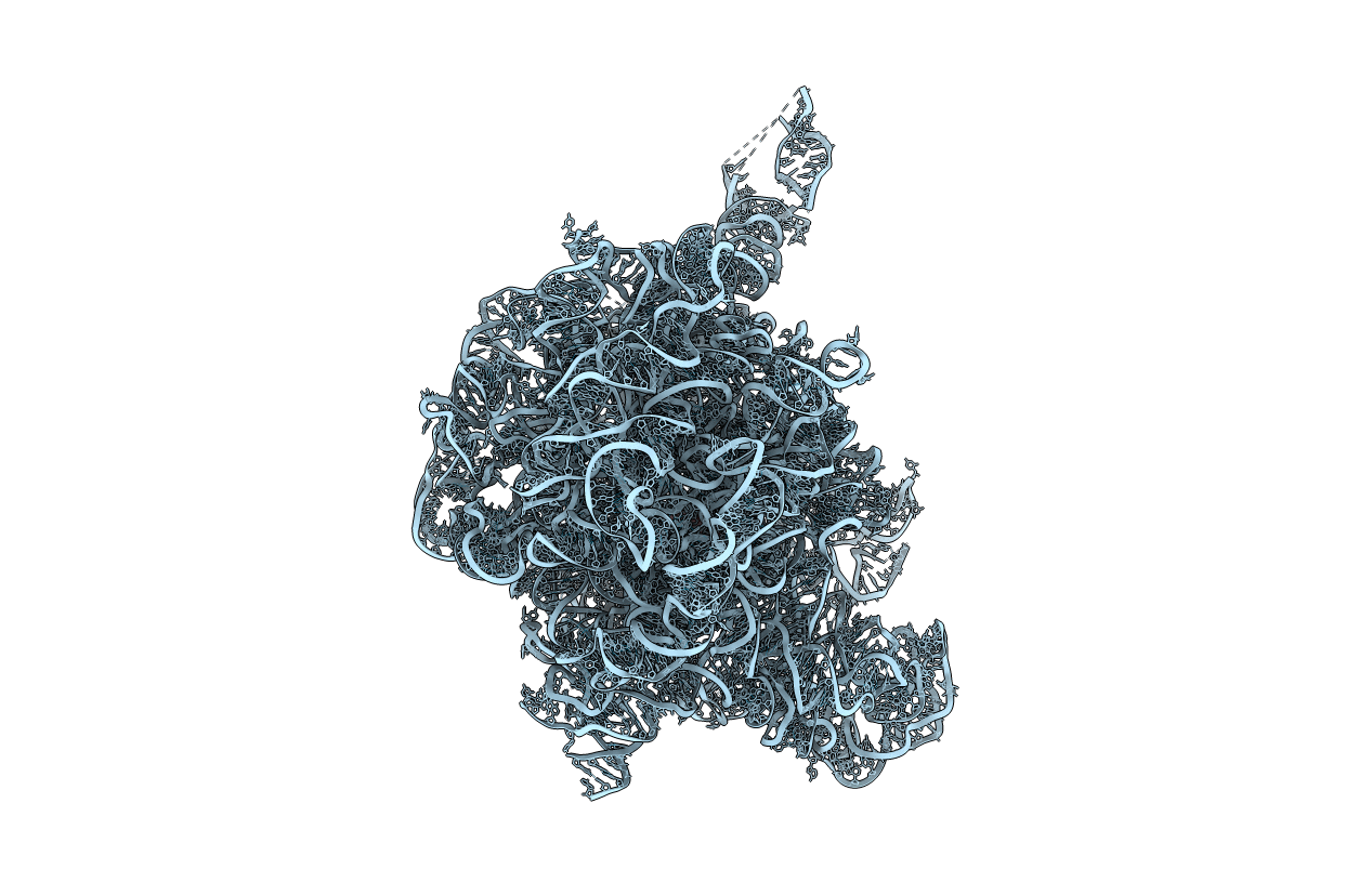 2O44 image