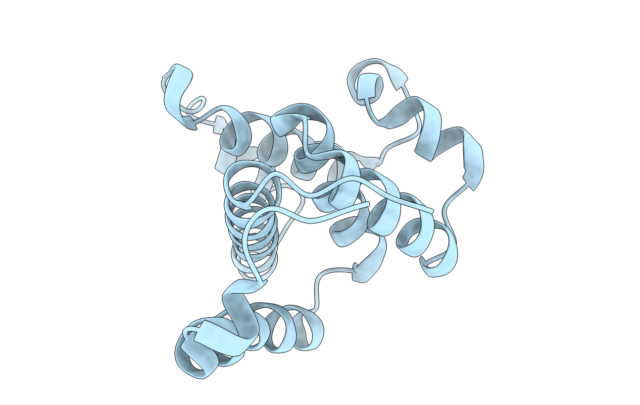 2O4D image