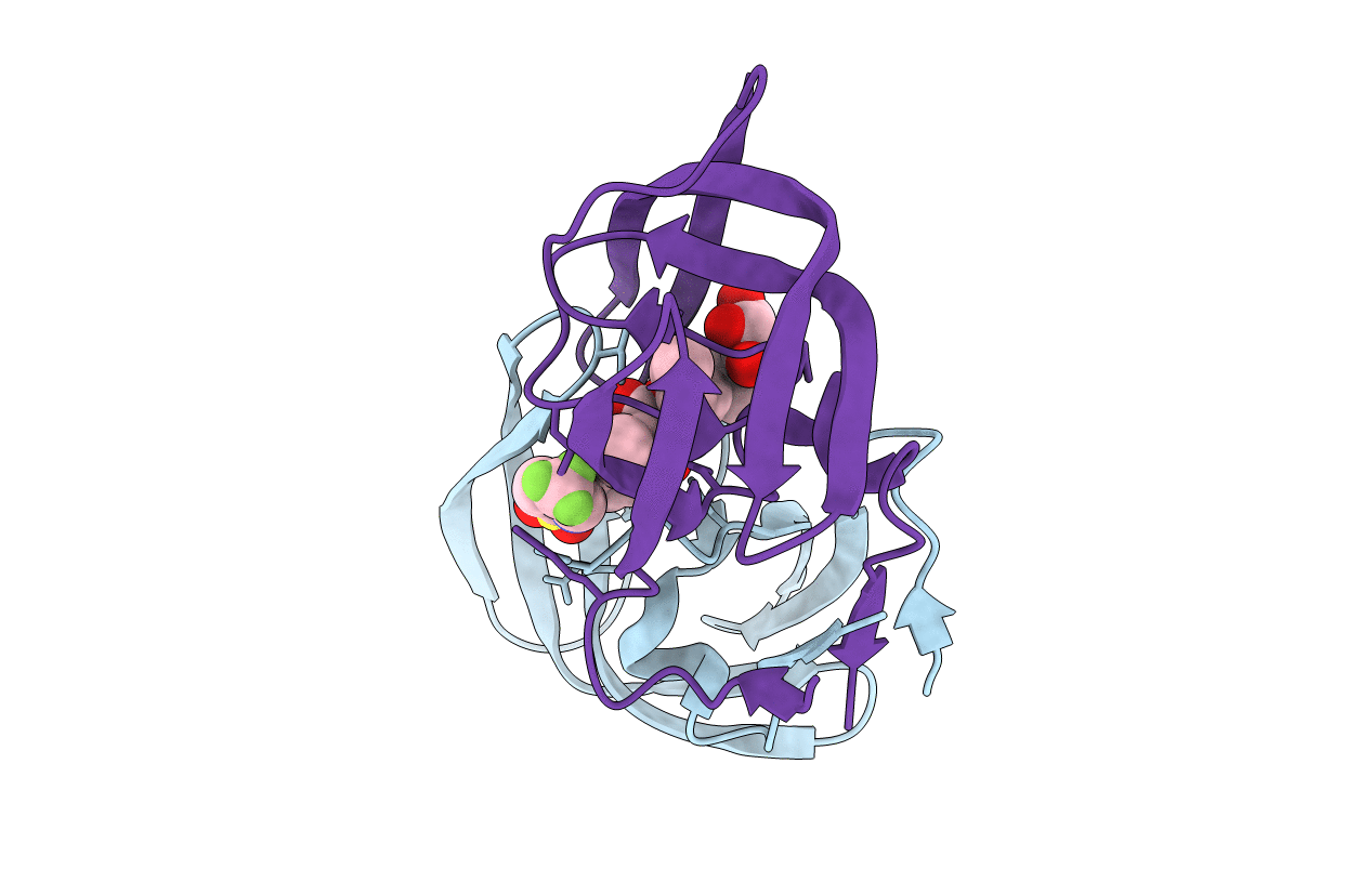 2O4N image