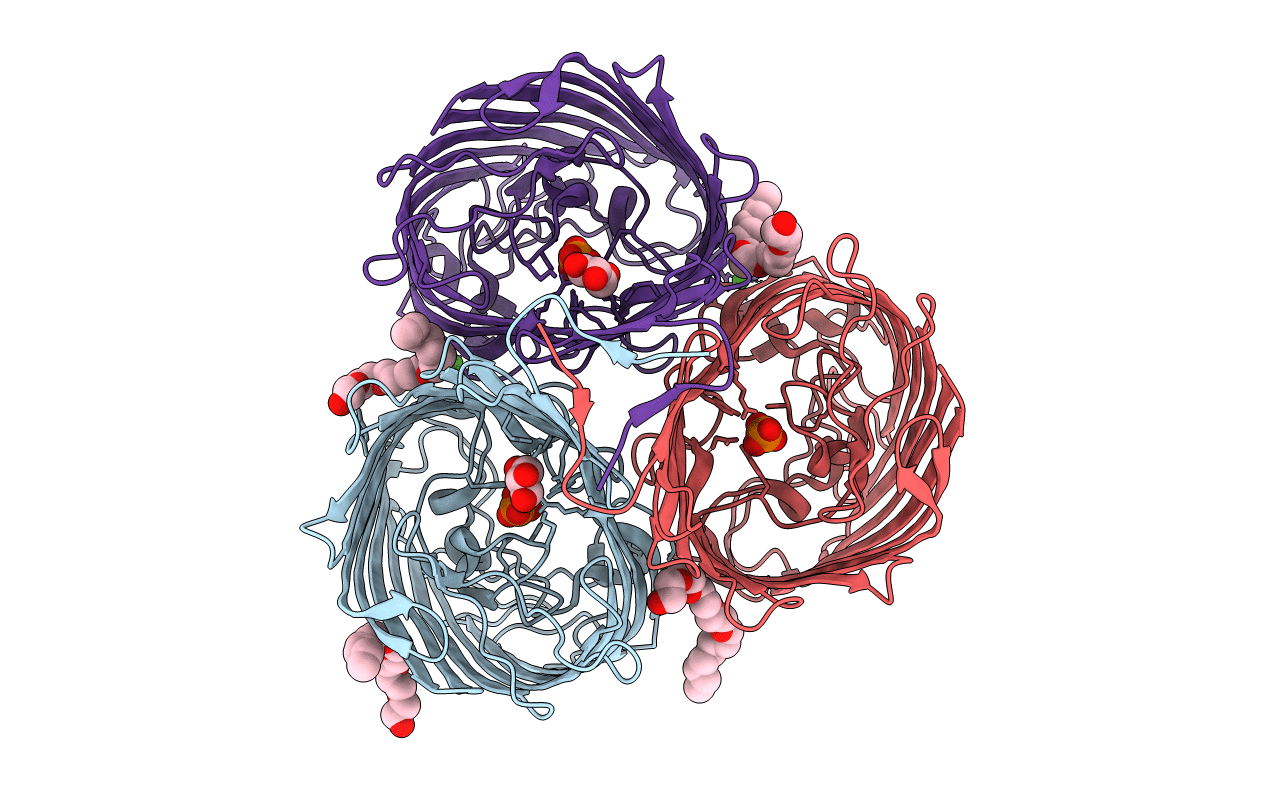 2O4V image