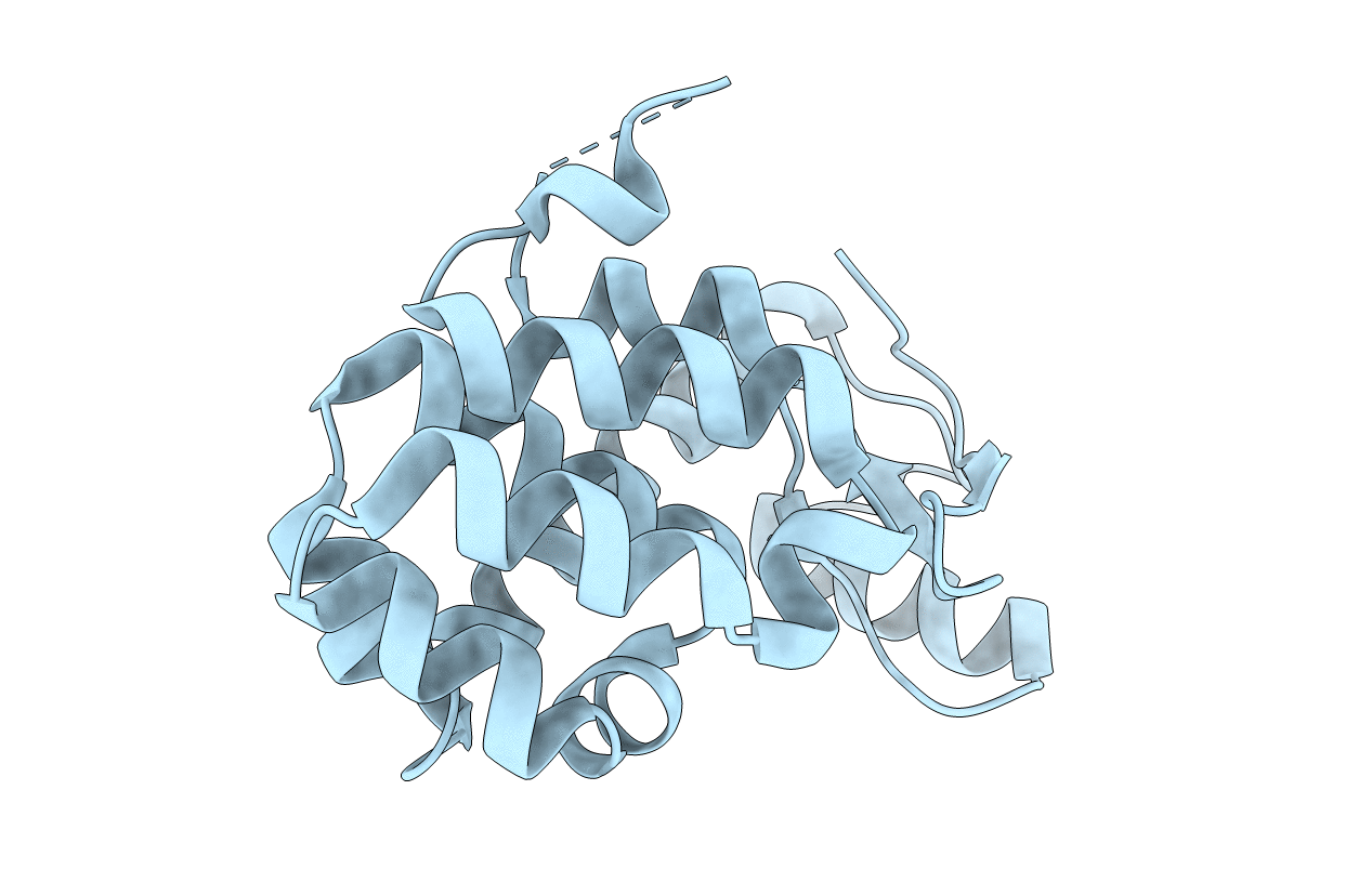 2O4W image