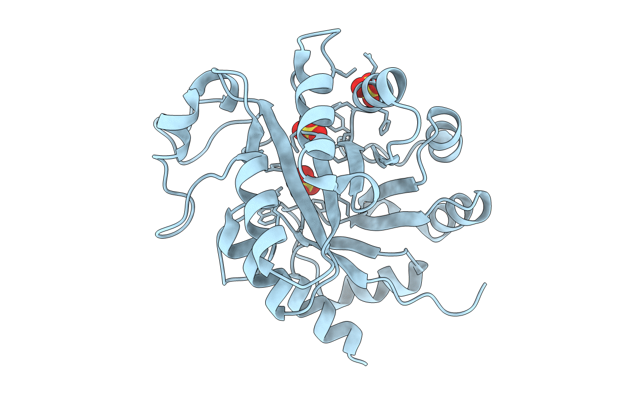 2O55 image