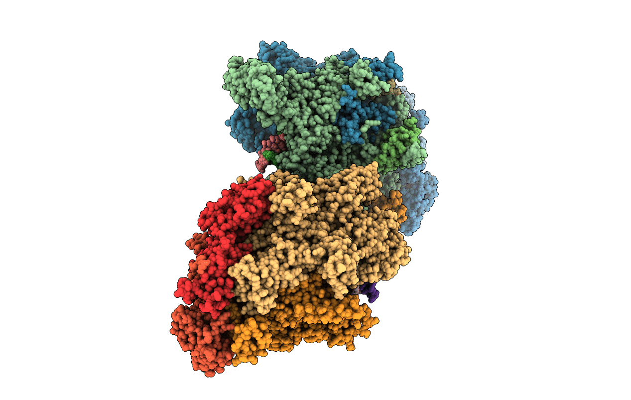 2O5I image
