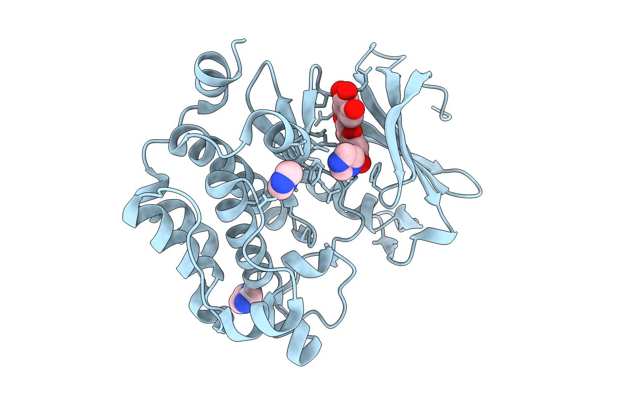 2O63 image