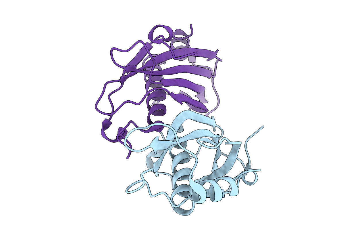 2O6B image