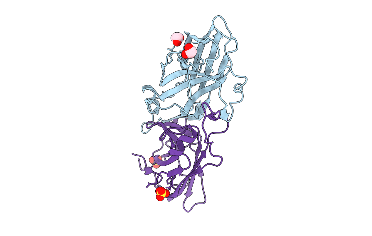 2O6C image