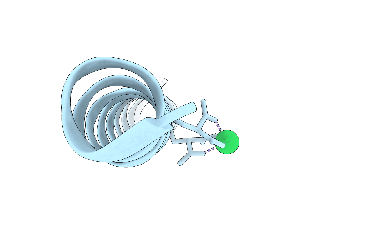 2O6N image