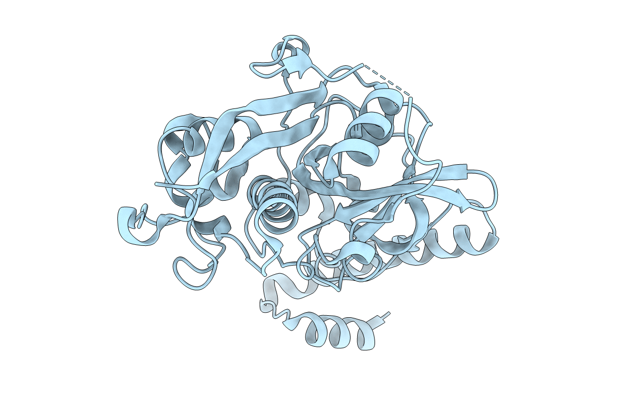 2O6X image