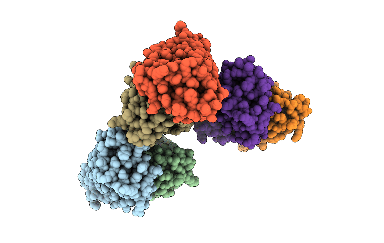 2O73 image