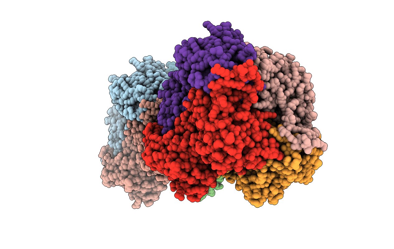 2O7B image