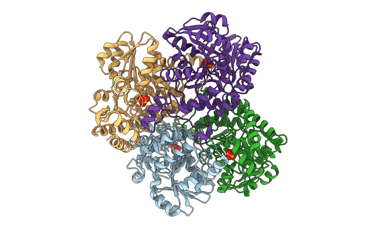 2O7C image