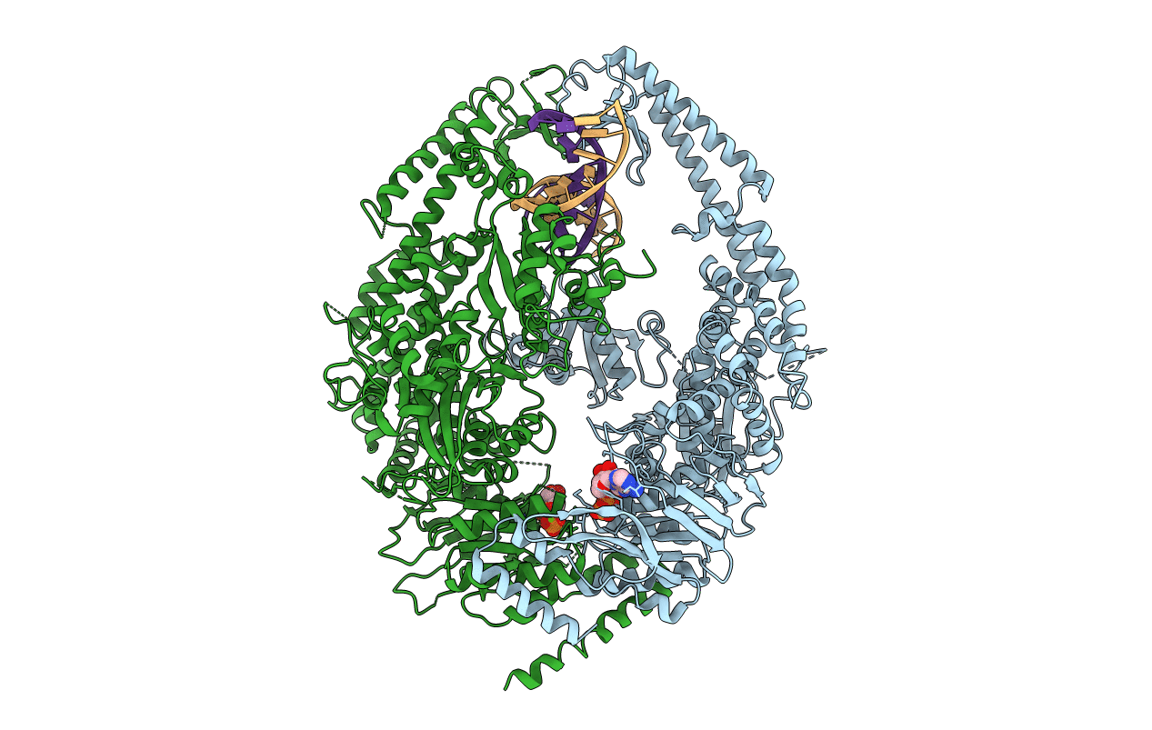 2O8C image
