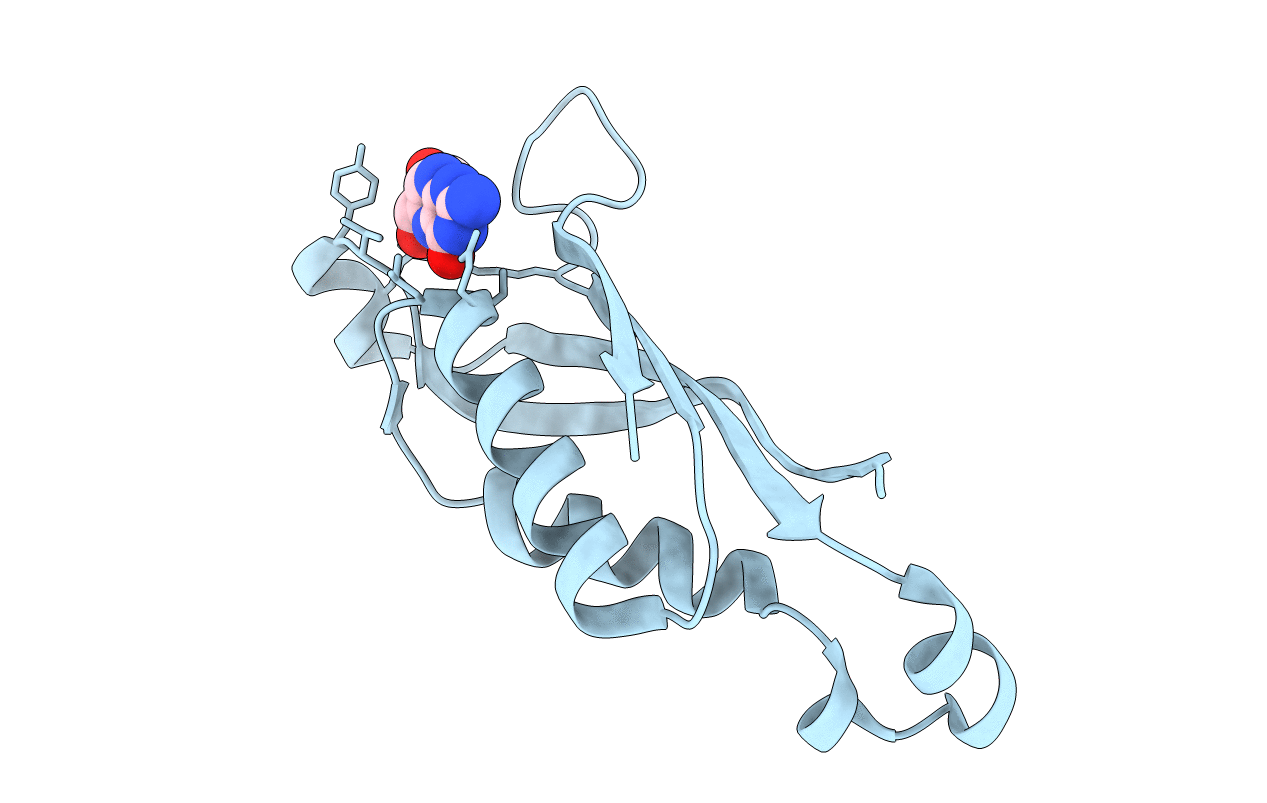 2O90 image