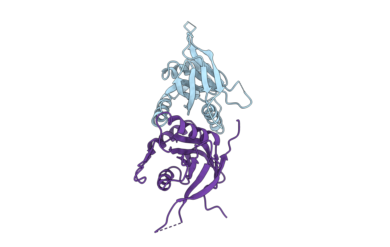 2O96 image