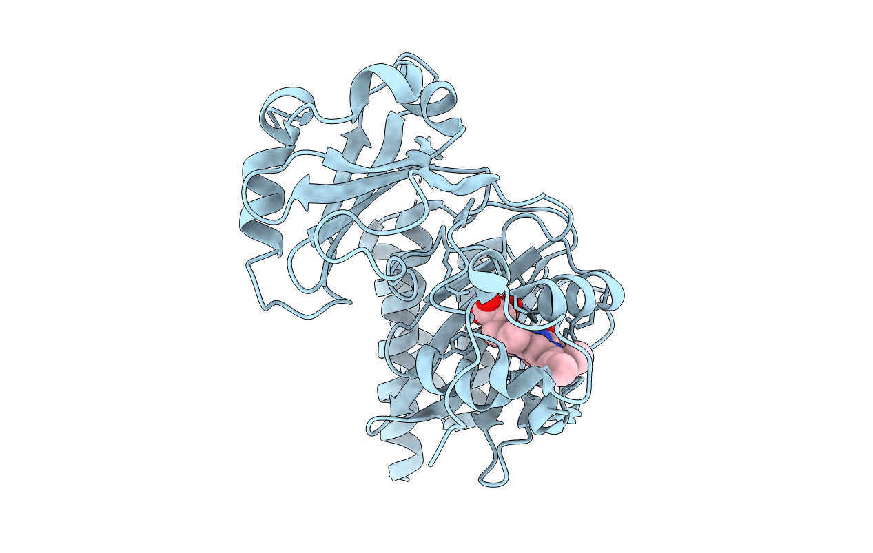 2O9B image