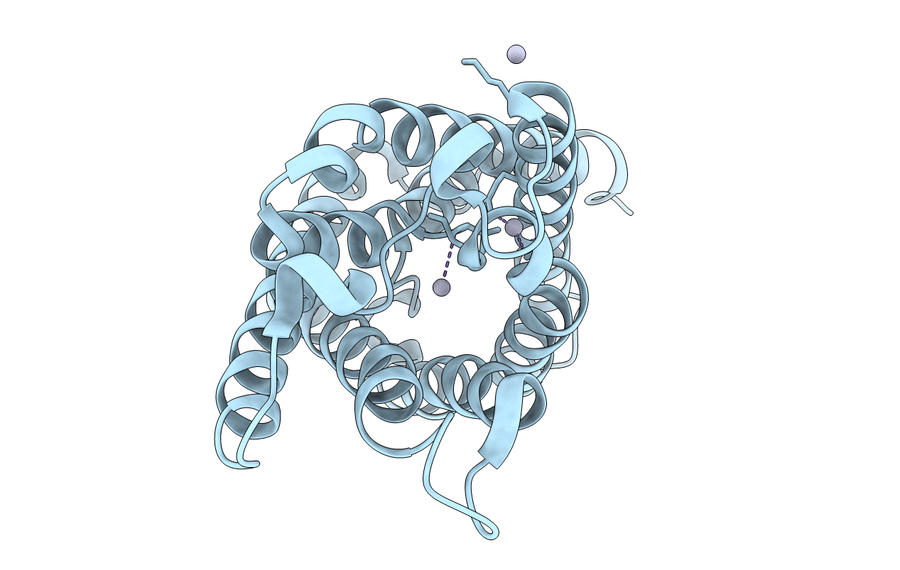 2O9E image