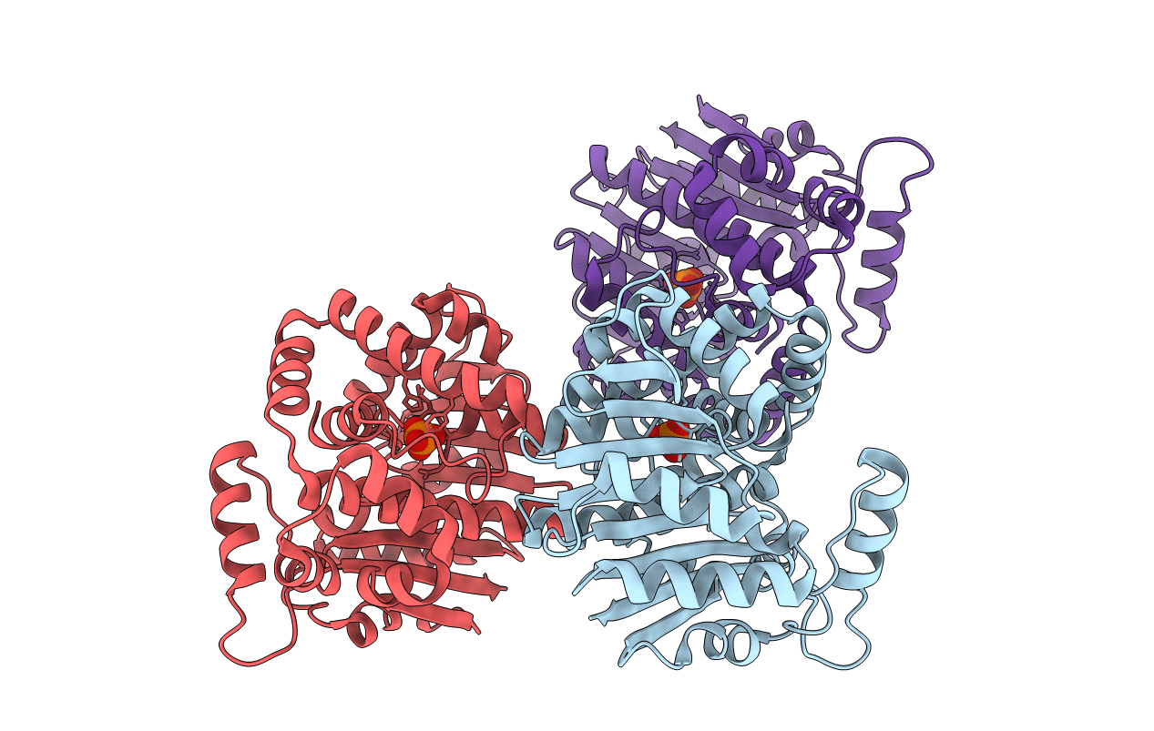 2OB1 image
