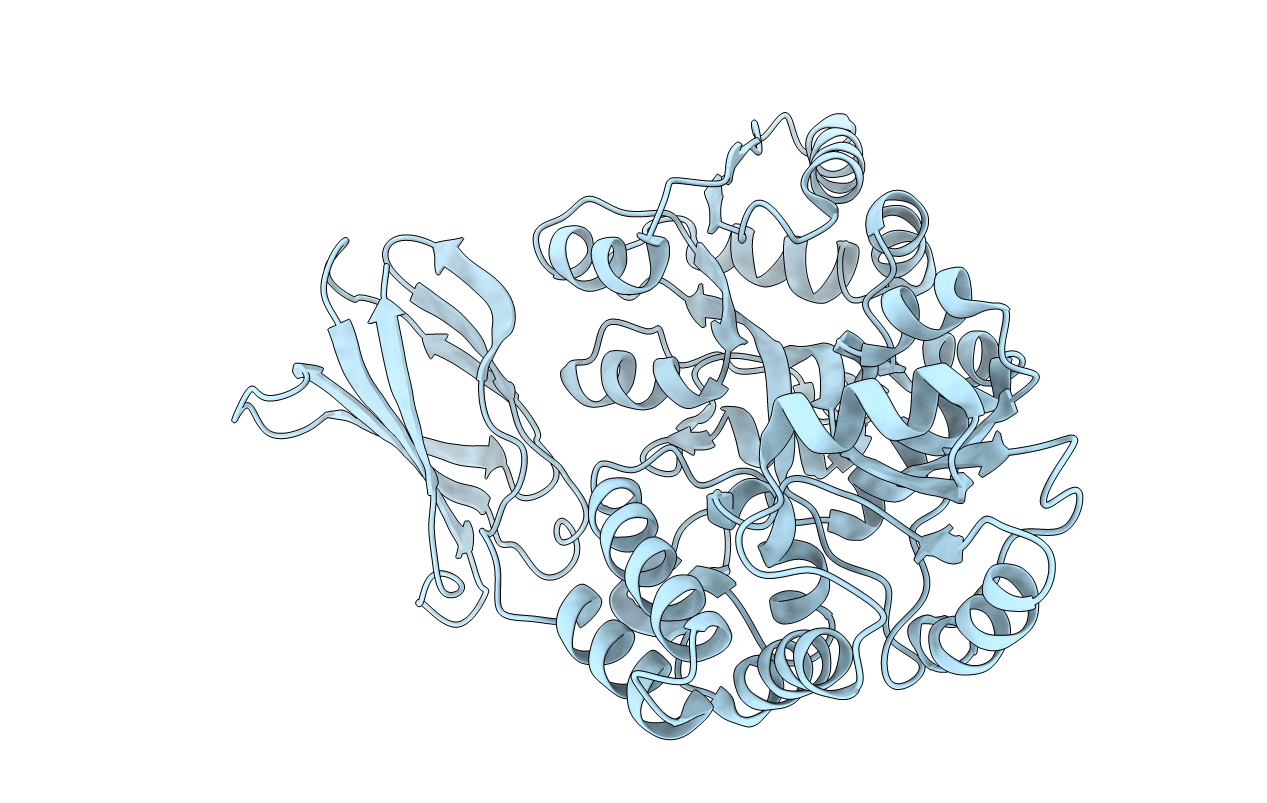 2OBG image