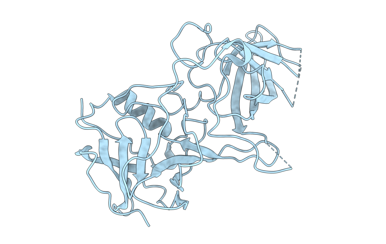 2OBR image