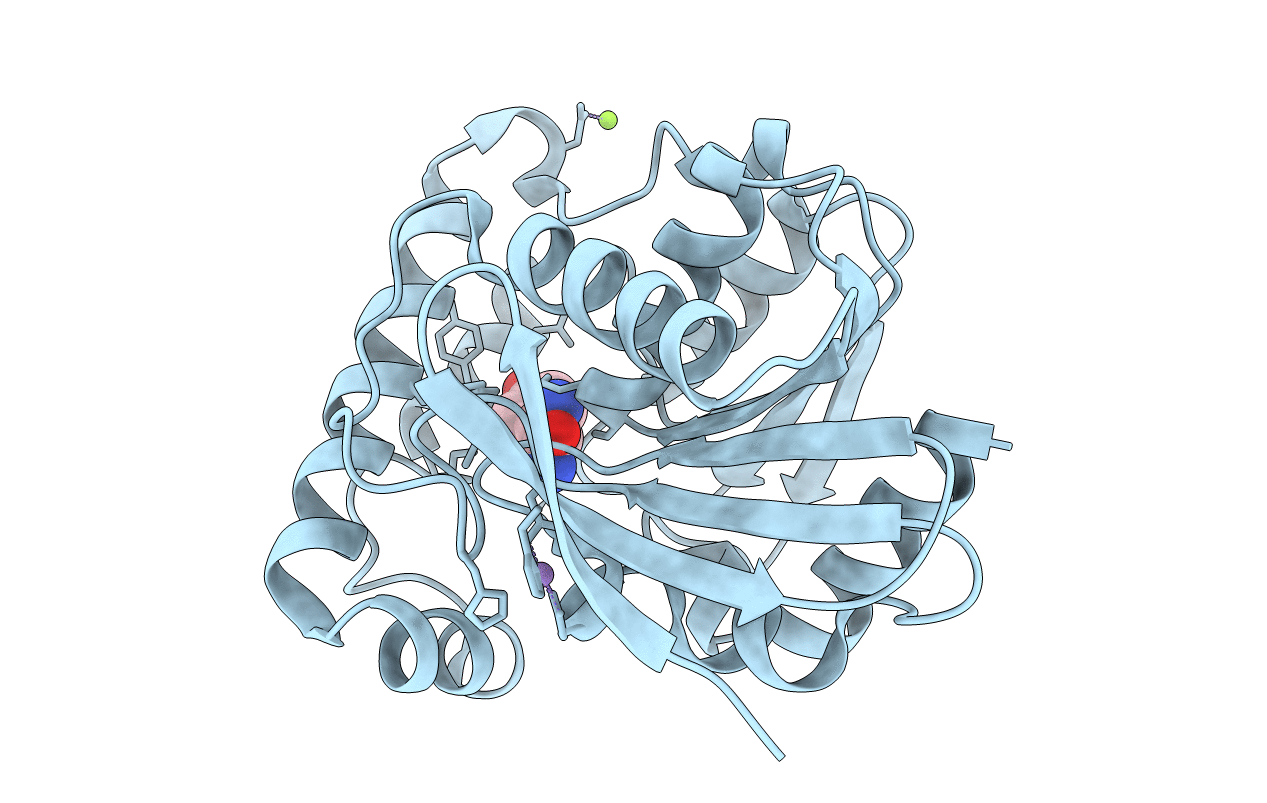 2OCI image