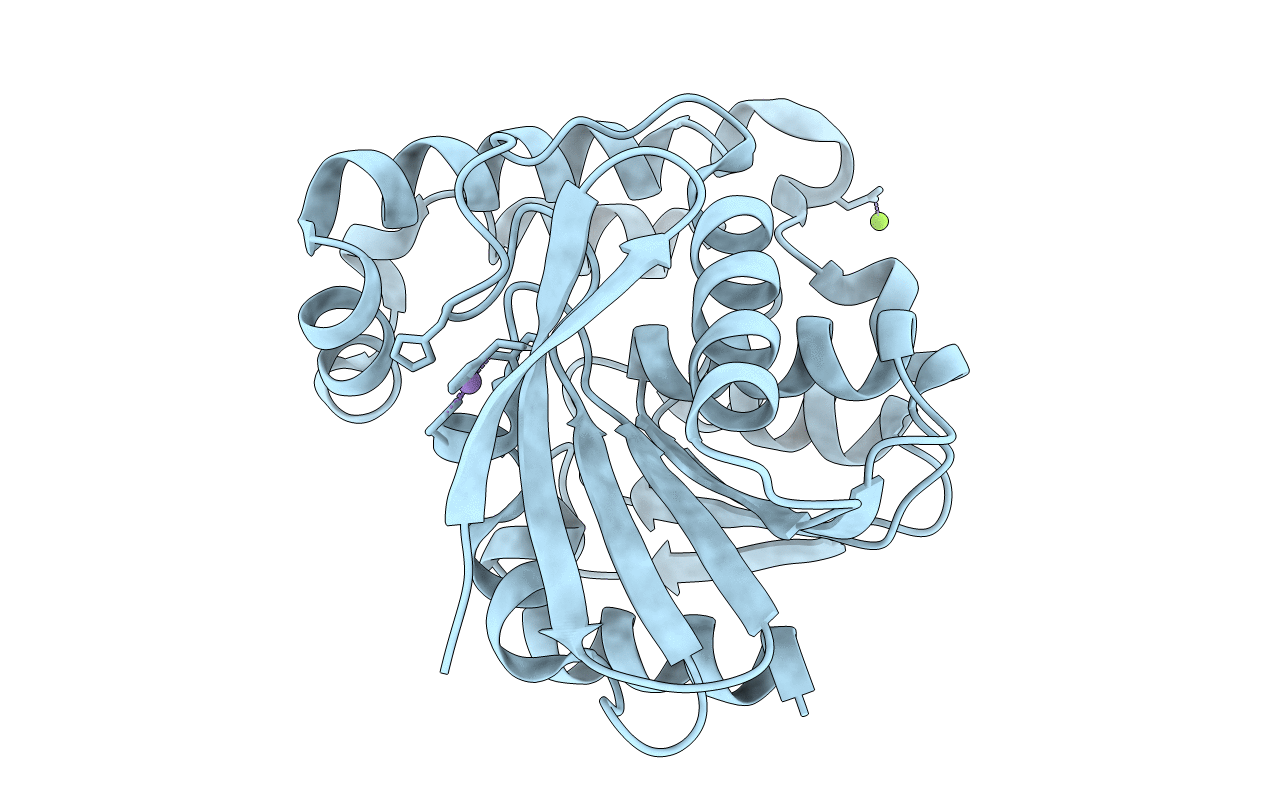 2OCL image