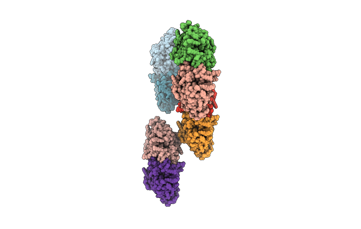 2OCP image
