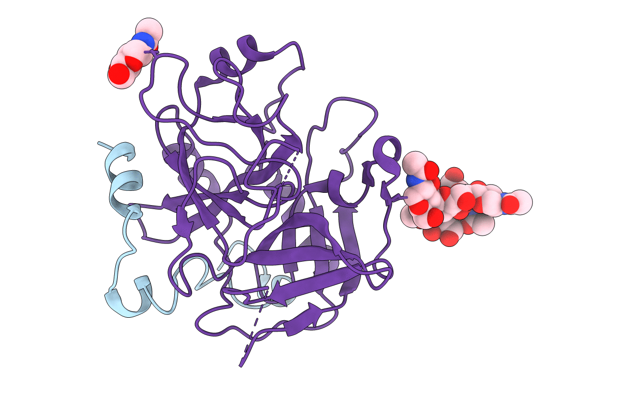 2OCV image
