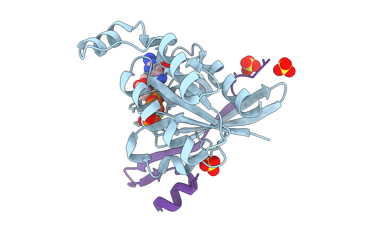 2ODB image