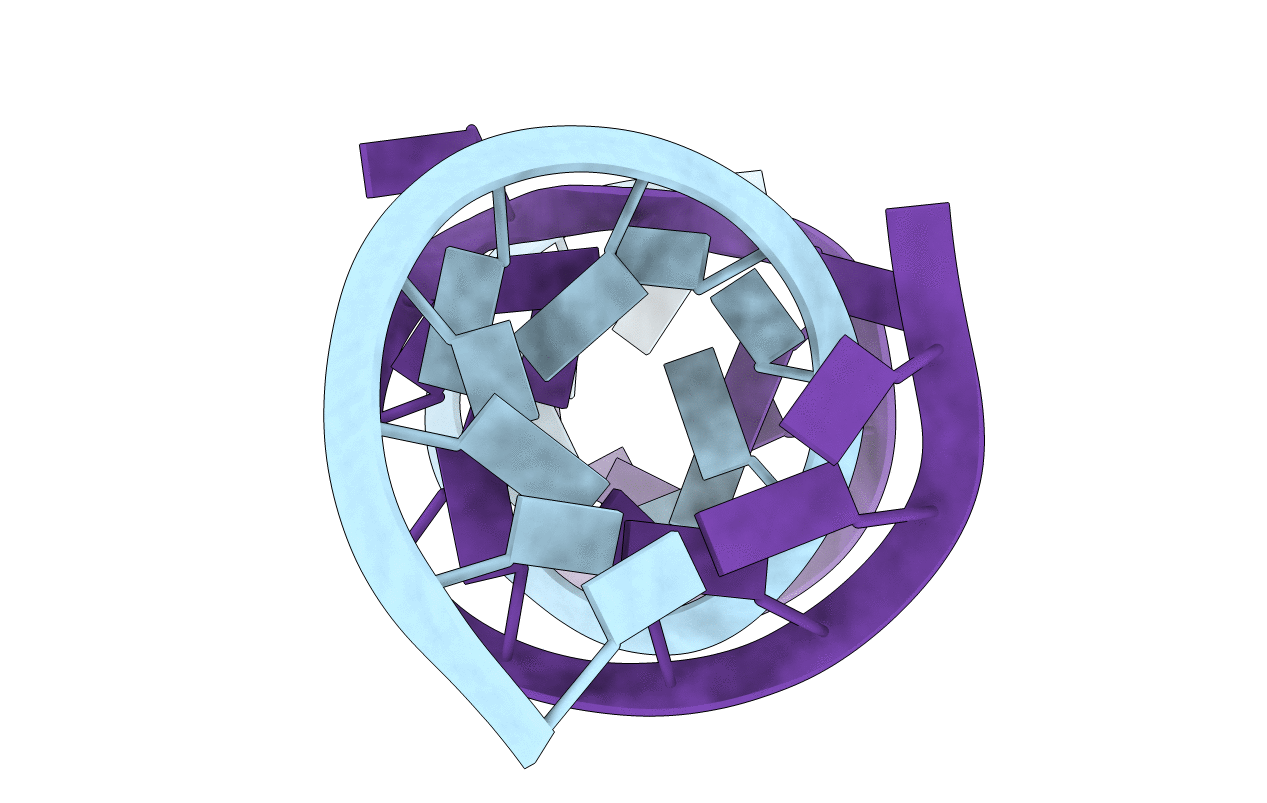 2OE6 image