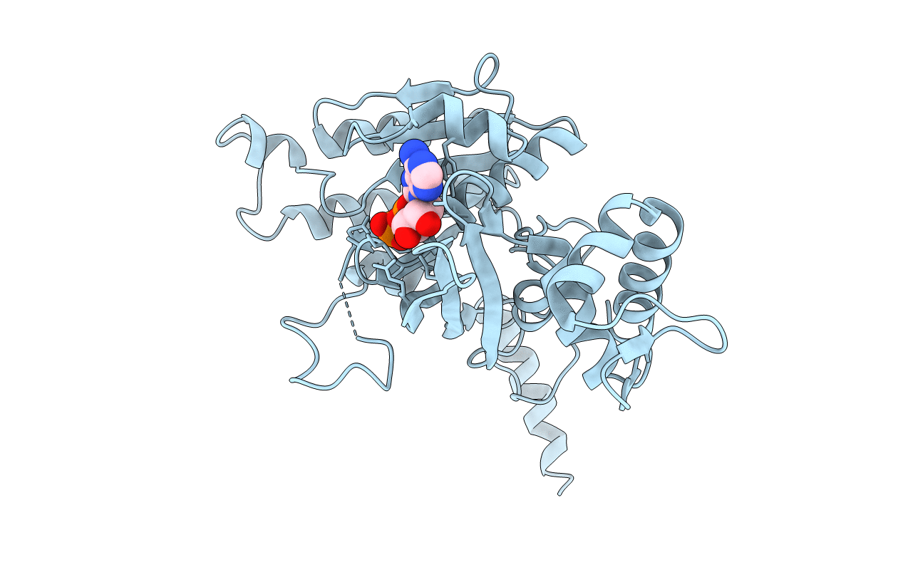 2OEP image