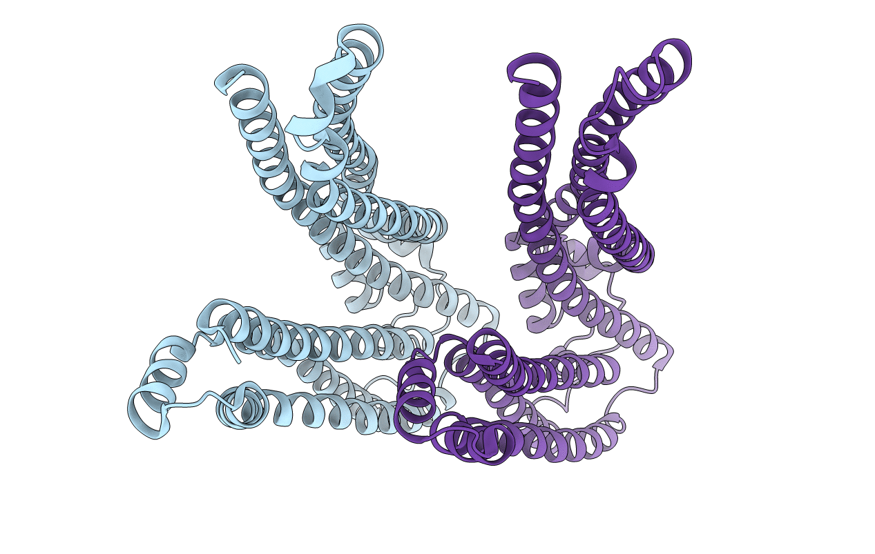2OEX image