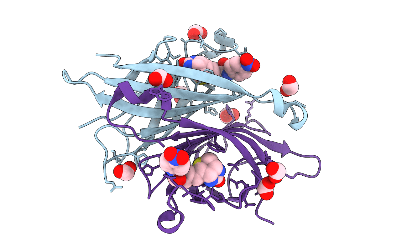 2OFB image