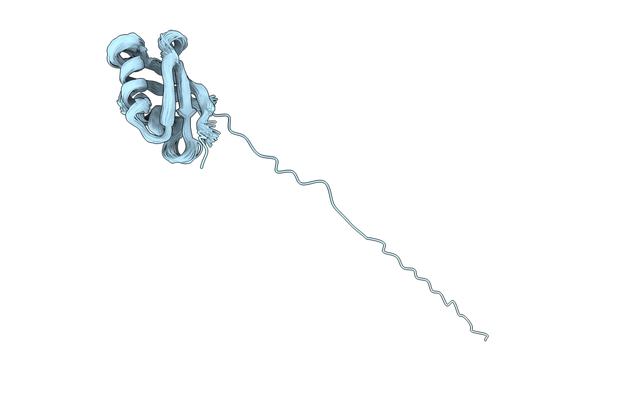 2OFG image