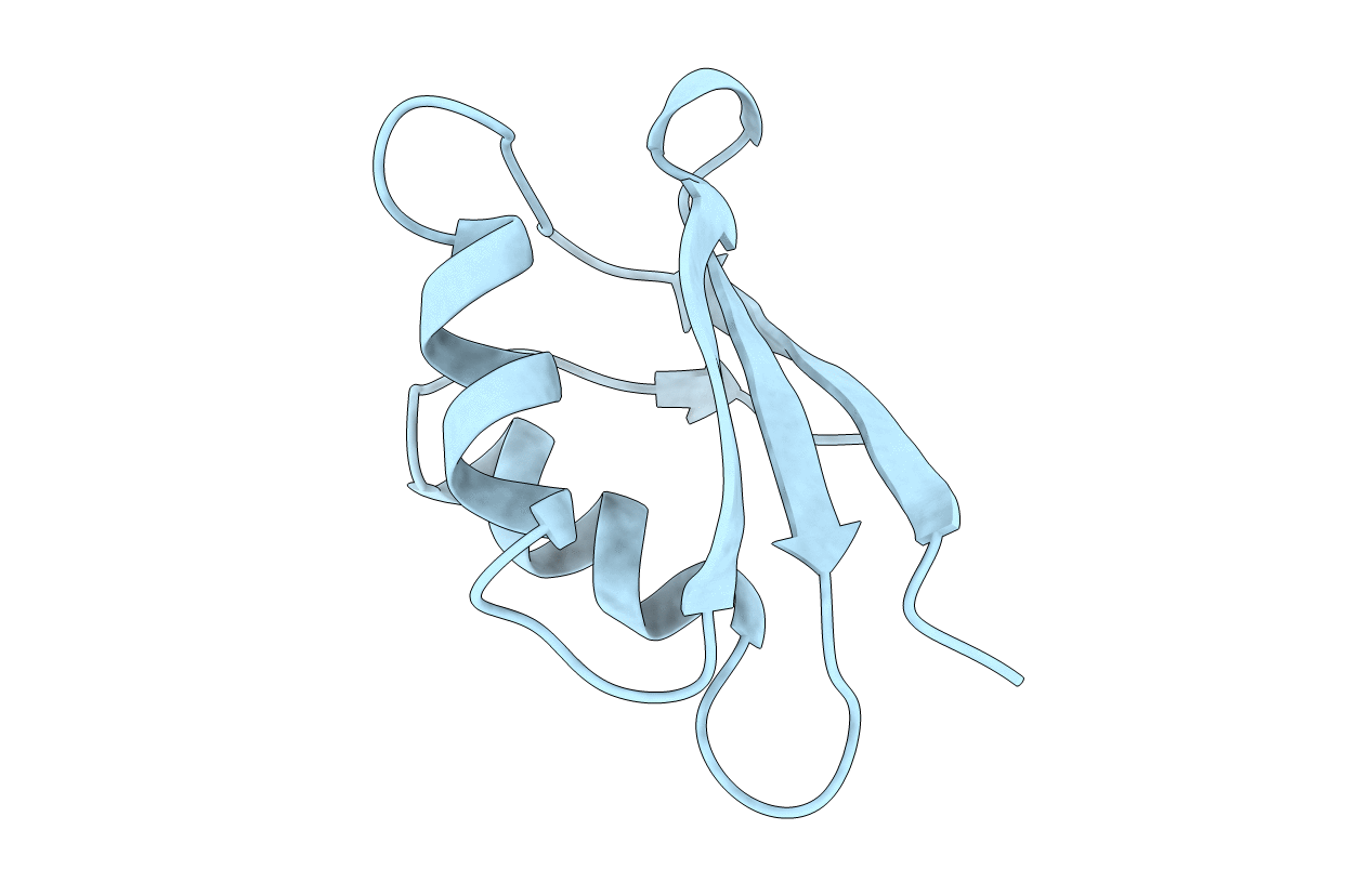 2OFH image