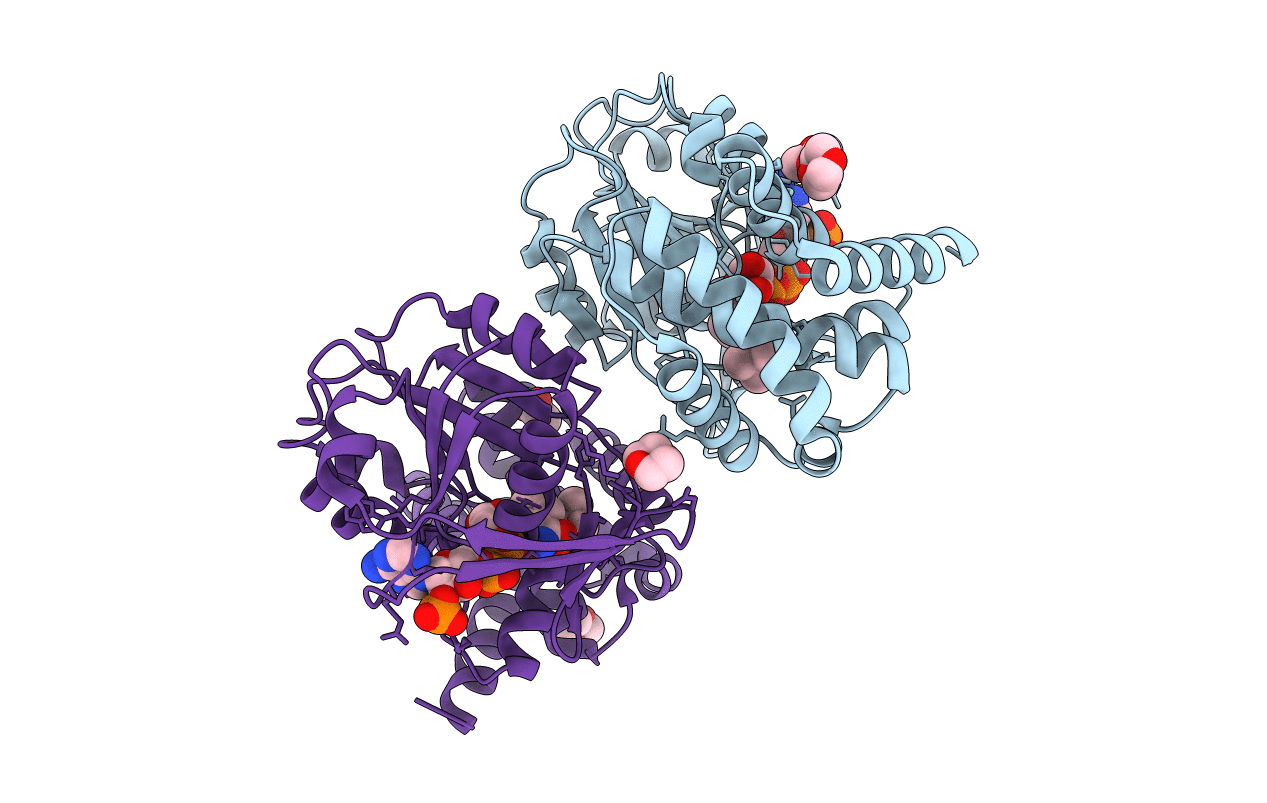 2OFP image