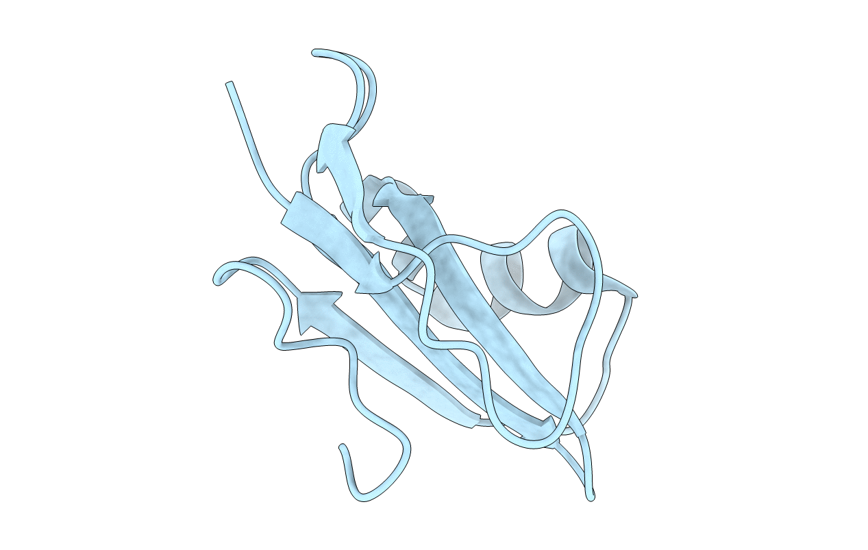 2OFS image