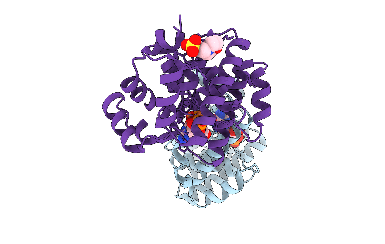 2OGI image