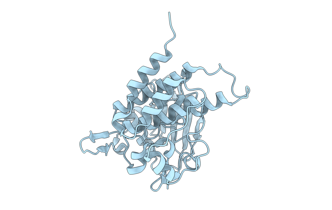 2ogv image