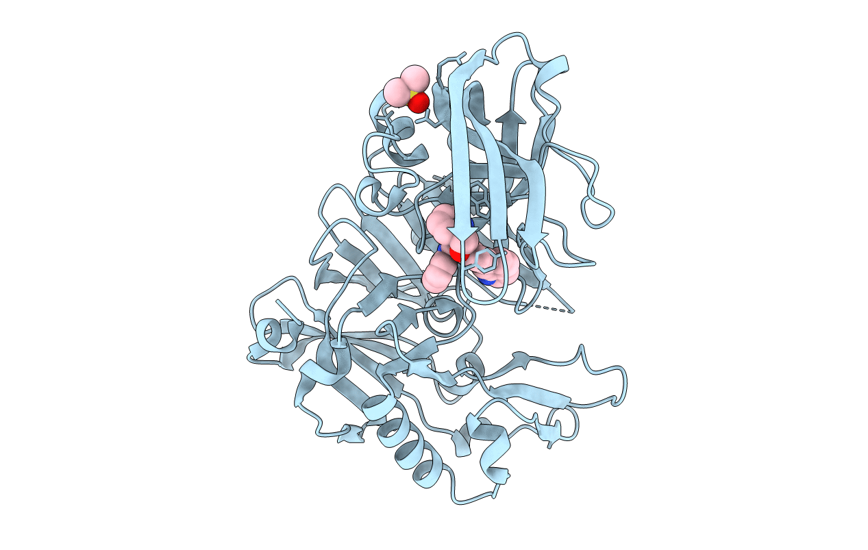 2OHU image