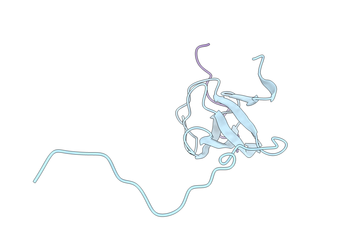 2OI3 image