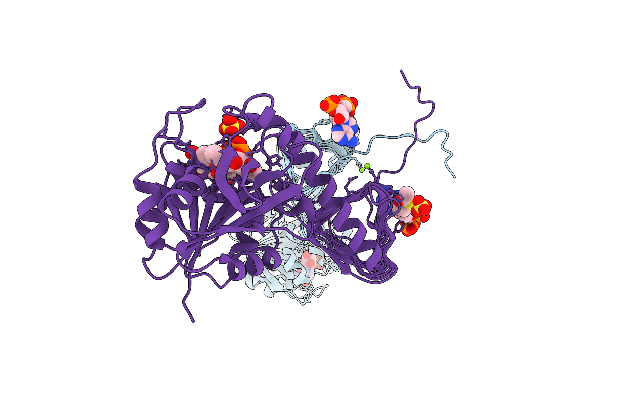 2OI5 image