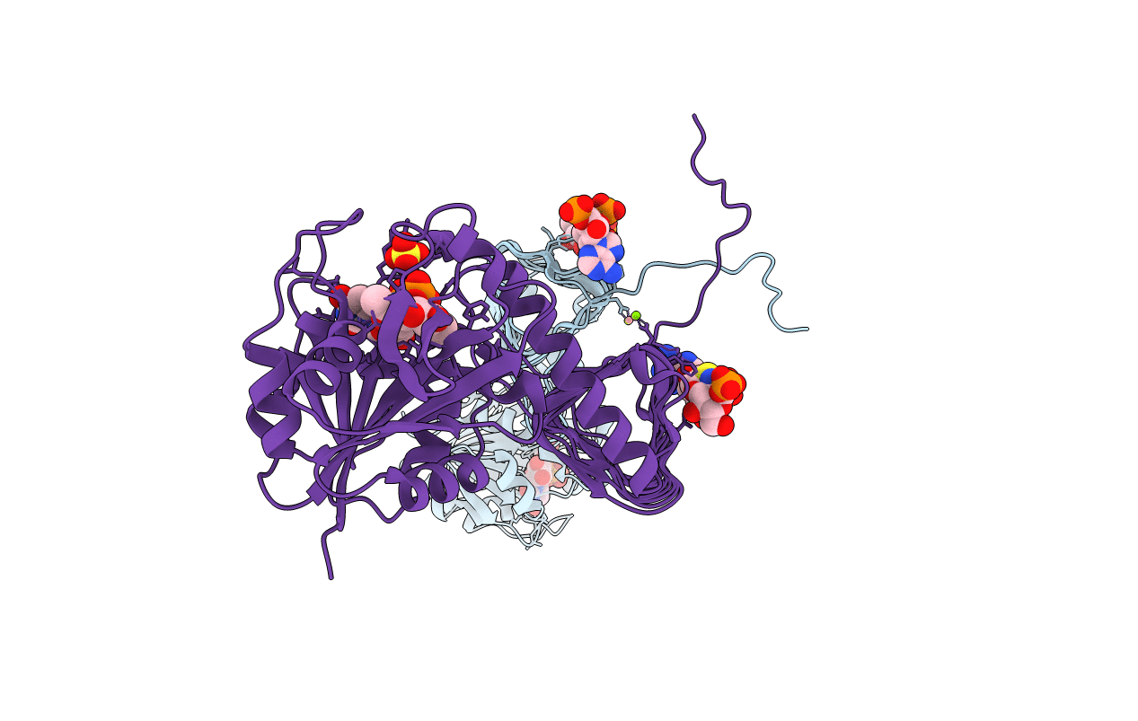 2OI6 image