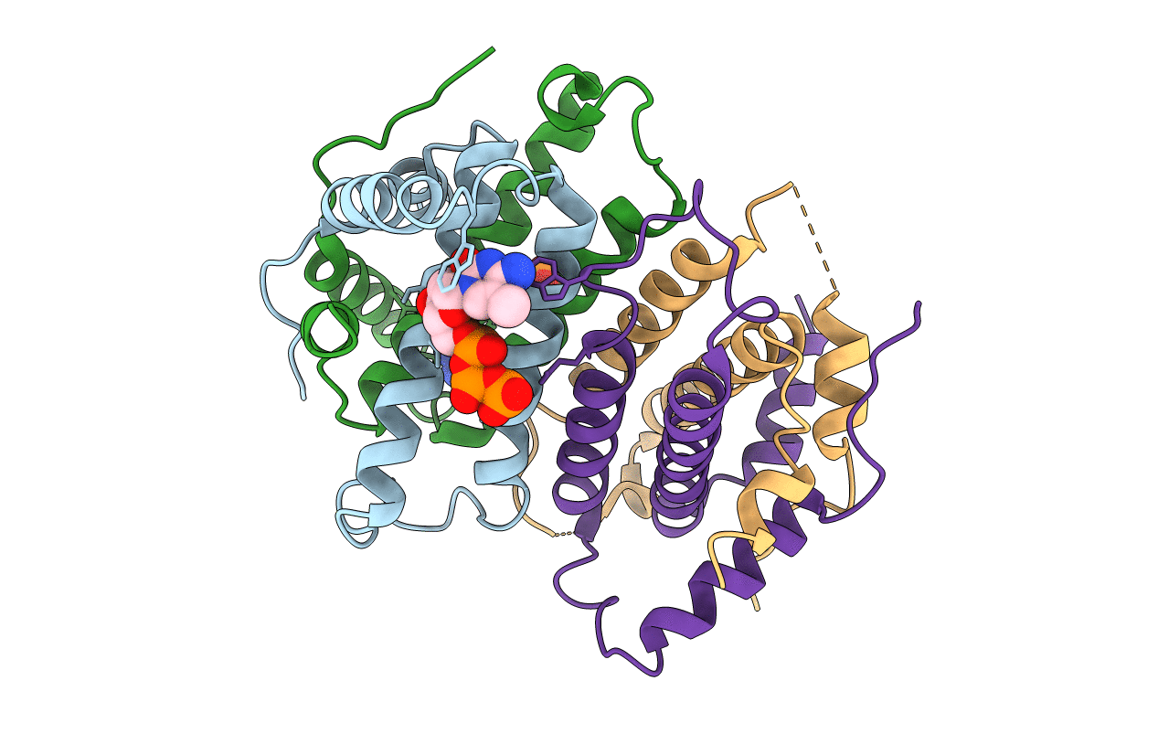 2OIG image