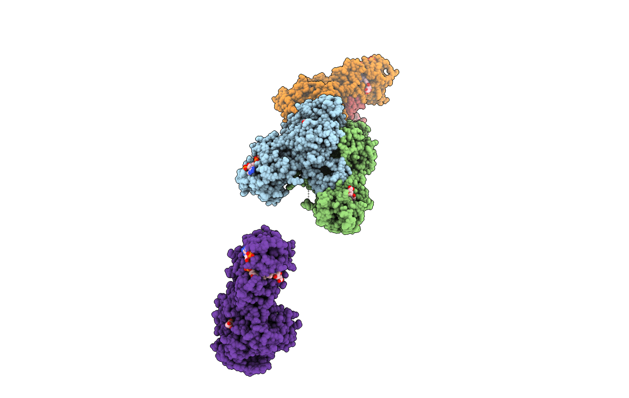 2OIP image